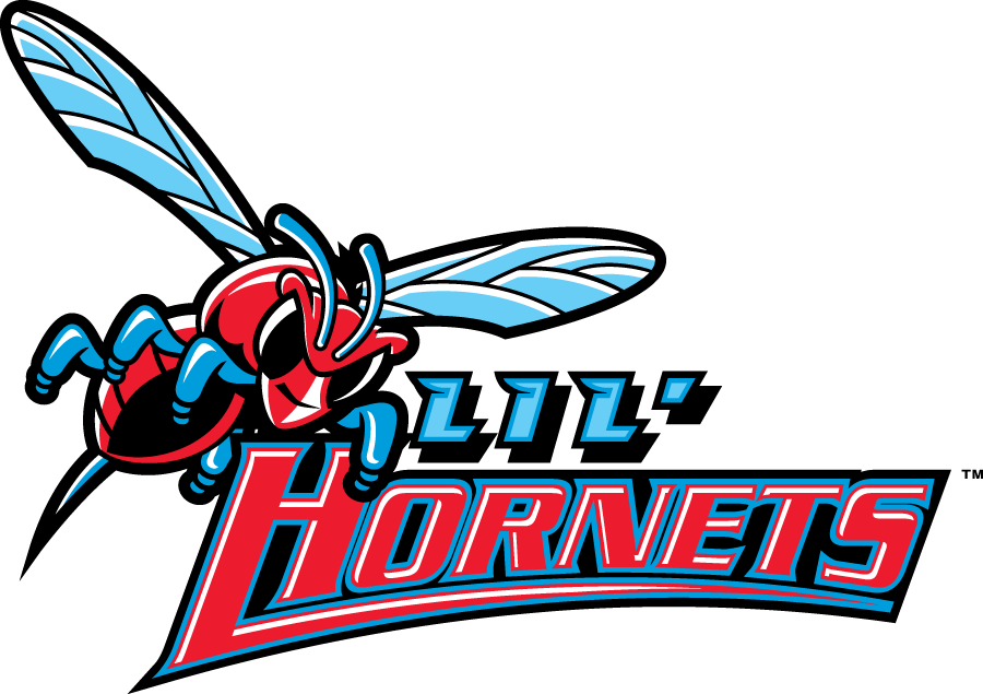 Delaware State Hornets 2004-Pres Misc Logo vinyl decal